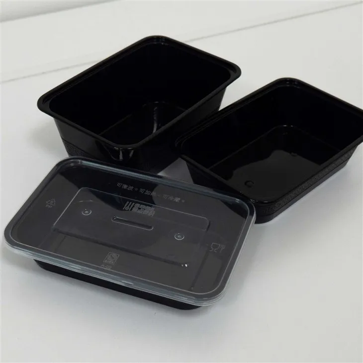 Microwave-Safe Plastic Food Boxes - Ready for Convenient Heating (2)