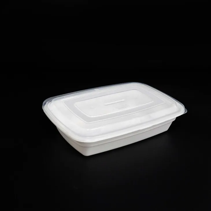 Portable Disposable Lunch Boxes with Lids - Ideal for Travel and Work (5)
